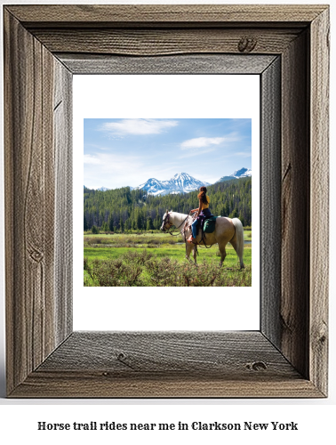 horse trail rides near me in Clarkson, New York